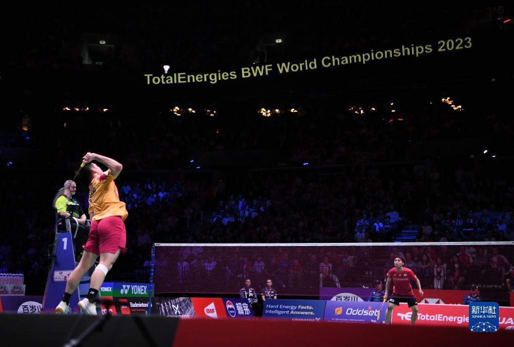 专业性和数 专业性和数