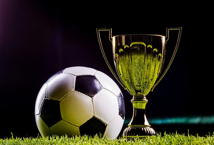 他们在职业 他们在职业