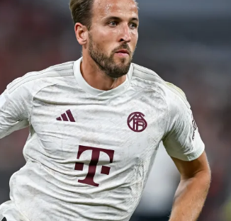 出色的表现 出色的表现